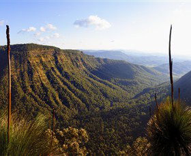 O'Reilly's Rainforest Retreat - Accommodation Mount Tamborine 3