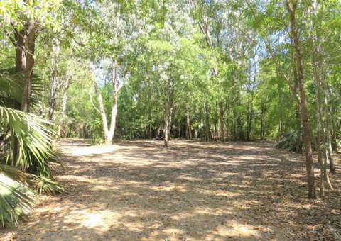 Bitter Springs Cabins And Camping - Accommodation Mount Tamborine 5