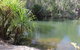 Bitter Springs Cabins And Camping - thumb 7