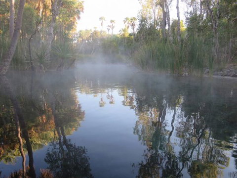 Bitter Springs Cabins And Camping - Accommodation Mount Tamborine 8