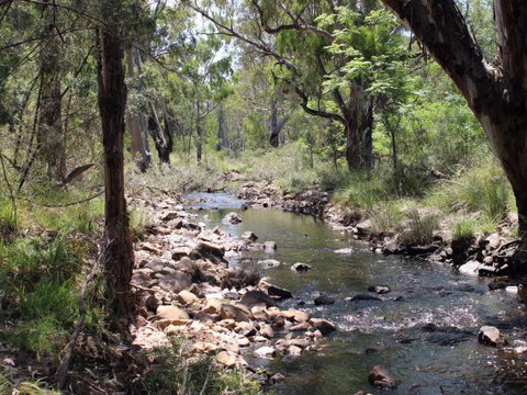 Bumberry Dam - Accommodation Mount Tamborine 0