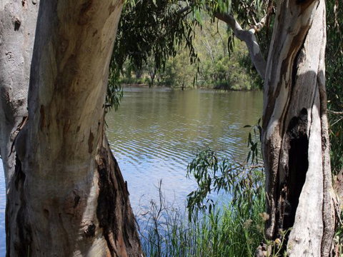 Bumberry Dam - Accommodation Mount Tamborine 1