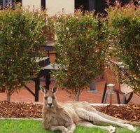 Alpha Canberra Hotel and Apartments - Accommodation Mount Tamborine