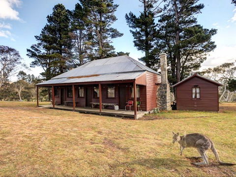 The Pines Cottage - Accommodation Mount Tamborine 0