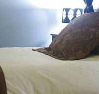 Mount Victoria Manor - Accommodation Mount Tamborine