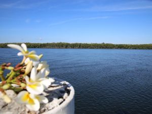 The Fishing Haven Holiday Park - Accommodation Mount Tamborine 0
