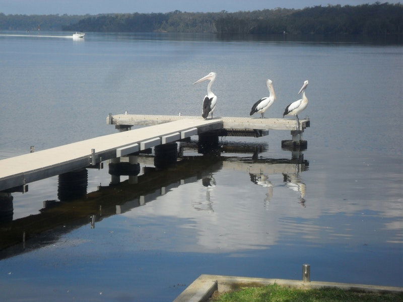Basin View NSW Accommodation Mount Tamborine