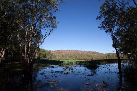 Mount Nancar Wilderness Retreat - Accommodation Mount Tamborine 6