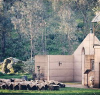 Table Top Mountain Retreat - Accommodation Mount Tamborine