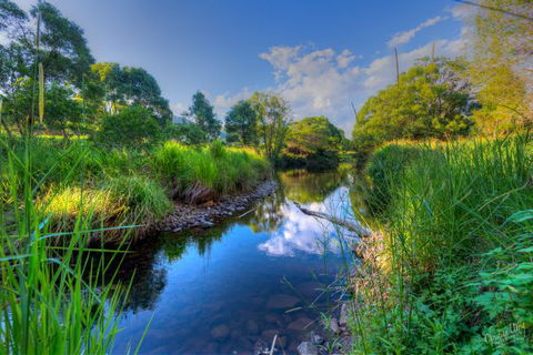 Terania Green Boutique Eco Cottages - Accommodation Mount Tamborine 3