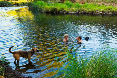 Terania Green Boutique Eco Cottages - Accommodation Mount Tamborine 4