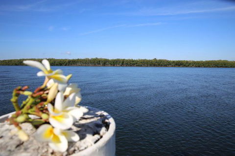 The Fishing Haven Holiday Park - Accommodation Mount Tamborine 1