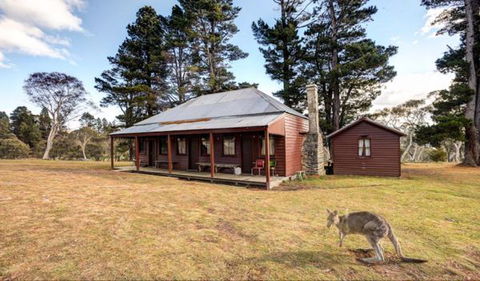 The Pines Cottage - Accommodation Mount Tamborine 1