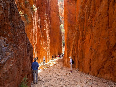 Standley Chasm Angkerle Camping - Accommodation Mount Tamborine 4