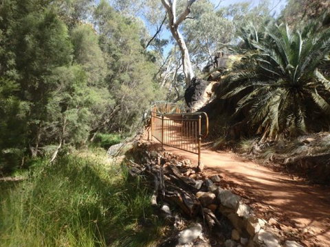 Standley Chasm Angkerle Camping - Accommodation Mount Tamborine 7