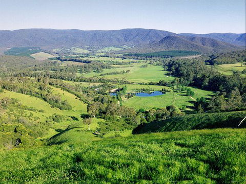 Kingbilli - Accommodation Mount Tamborine 1