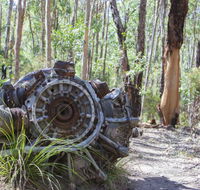 Kroombit Tops National Park Camping Ground - Accommodation Mount Tamborine