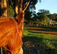 Billa Billa Farm Cottages - Accommodation Mount Tamborine