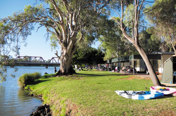 Renmark SA Accommodation Mount Tamborine