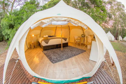 Yarra Valley Park Lane Glamping Belle Tents - Accommodation Mount Tamborine 8