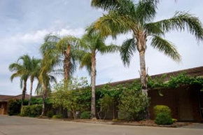 Darling Junction Motel - Accommodation Mount Tamborine 2
