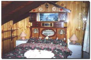 Karelia Alpine Lodge - Accommodation Mount Tamborine 2