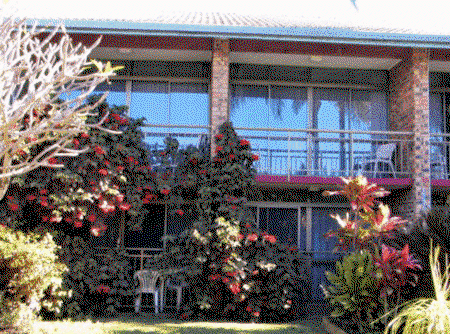 Mooloolaba Motel - Accommodation Mount Tamborine 3