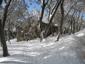 Akla Ski Lodge - Accommodation Mount Tamborine 0