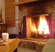Tikkandi - Accommodation Mount Tamborine