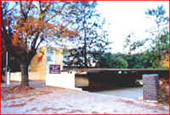 Capri Lodge Motel Apartments - Accommodation Mount Tamborine 1