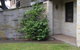 Avon Court Apartments - thumb 2