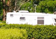 Barilla Holiday Park - Accommodation Mount Tamborine 3