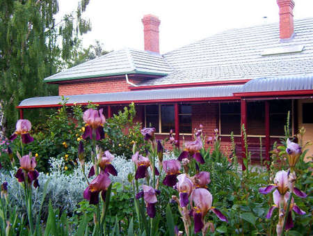 Donalea Bed & Breakfast - Accommodation Mount Tamborine 0