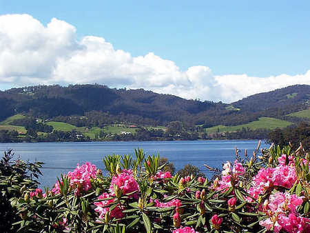Donalea Bed & Breakfast - Accommodation Mount Tamborine 1