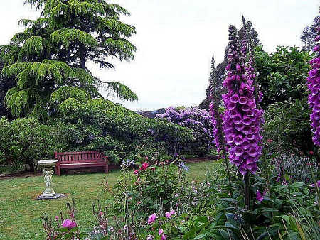 Donalea Bed & Breakfast - Accommodation Mount Tamborine 4