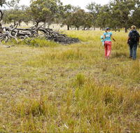 Carnarvon National Park camping - Accommodation Mount Tamborine