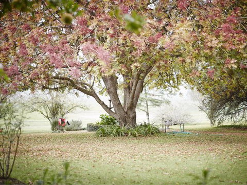 WillOaks B&B - Accommodation Mount Tamborine 8