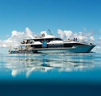 Bundaberg to Lady Musgrave Island Day Cruise - Accommodation Mount Tamborine