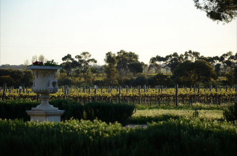 Angas Plains Estate Wines Heritage Suite - Accommodation Mount Tamborine 6