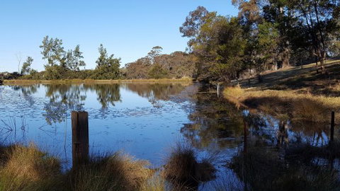 Blueberry Hills On Comleroy - Accommodation Mount Tamborine 8