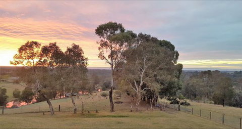 Blueberry Hills On Comleroy - Accommodation Mount Tamborine 9