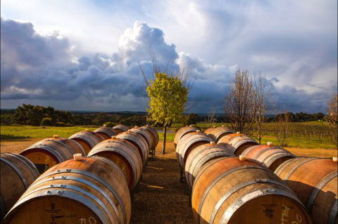 Barossa Chateau - Accommodation Mount Tamborine 4