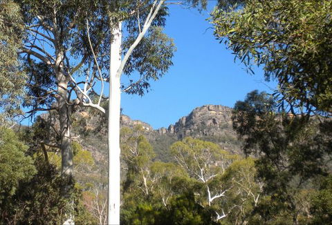 Gang Gang Villas - Accommodation Mount Tamborine 4