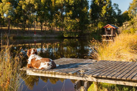 Otway Escapes Luxury Spa Accommodation - Accommodation Mount Tamborine 2