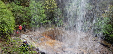 Tasmanian Hikes - Accommodation Mount Tamborine 3