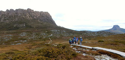Tasmanian Hikes - Accommodation Mount Tamborine 4