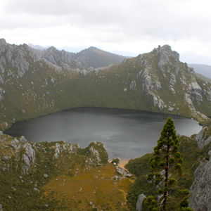 Tasmanian Hikes - Accommodation Mount Tamborine 5