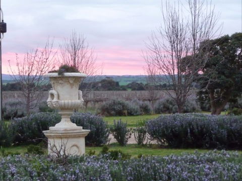 Angas Plains Wines Suites - Accommodation Mount Tamborine 3