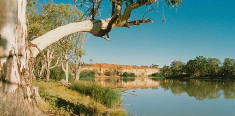 Border Cliffs River Retreat - Accommodation Mount Tamborine 0