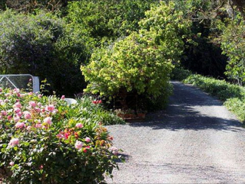Brown's House Bed & Breakfast - Accommodation Mount Tamborine 3